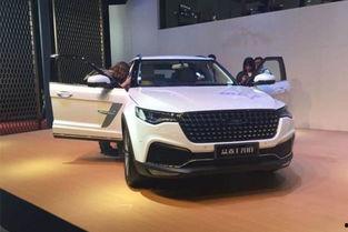 4虎国产视频,激情燃烧的青春岁月  第2张 4虎国产视频,激情燃烧的青春岁月  第2张